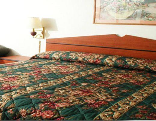 Executive Inn Dallas Bilik gambar
